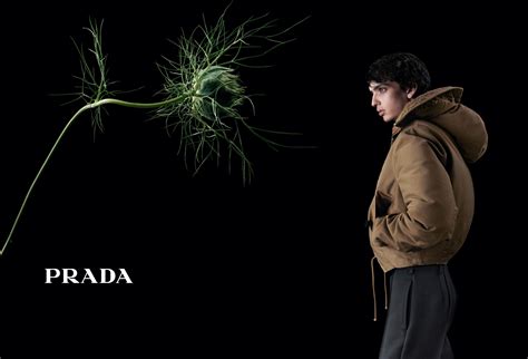 prada de fall on you|Prada .